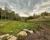 Lot 2 Island Road, Junior, West Virginia 26275, ,Lots/land,For Sale,Island,10156475