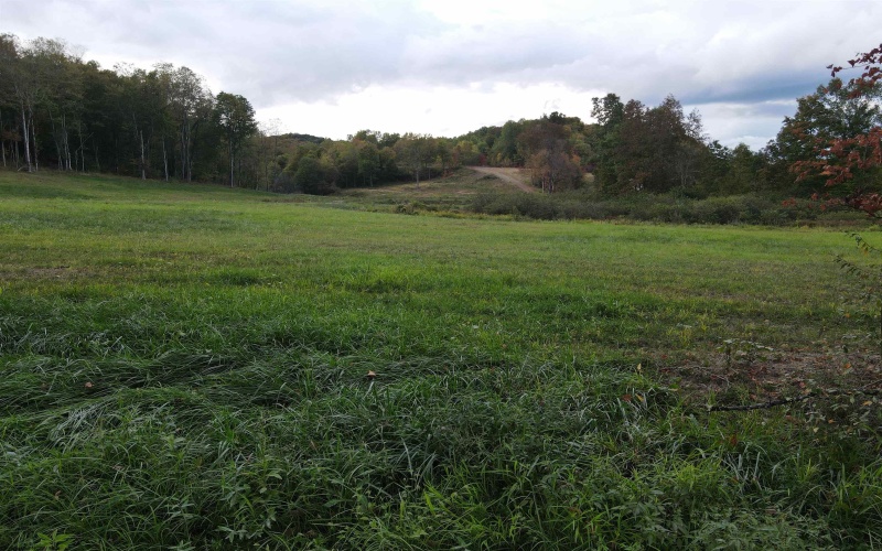 Lot 2 Island Road, Junior, West Virginia 26275, ,Lots/land,For Sale,Island,10156475