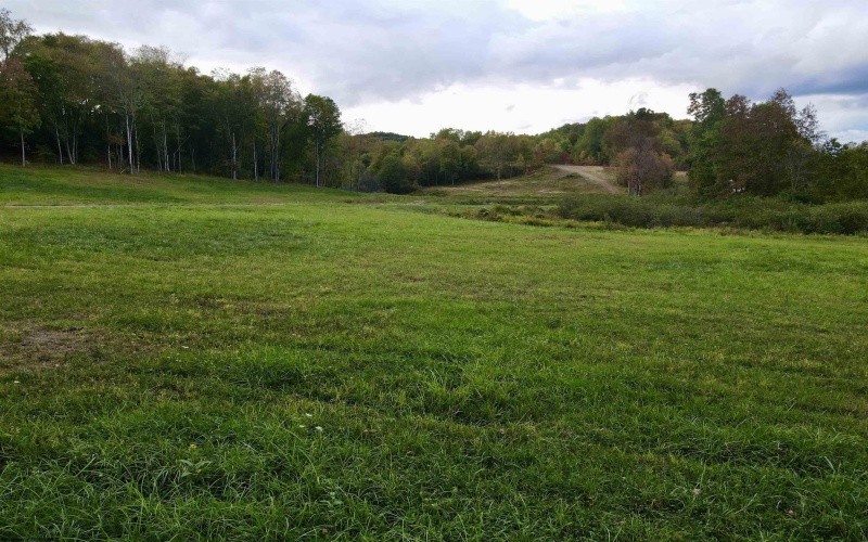 Lot 2 Island Road, Junior, West Virginia 26275, ,Lots/land,For Sale,Island,10156475