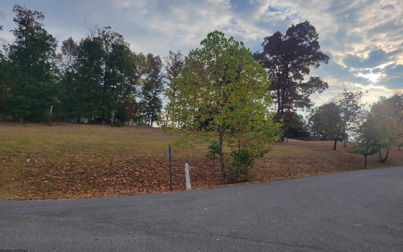 Lot #6 Briarwood Road, Bridgeport, West Virginia 26330, ,Lots/land,For Sale,Briarwood,10156481