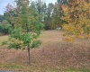 Lot #6 Briarwood Road, Bridgeport, West Virginia 26330, ,Lots/land,For Sale,Briarwood,10156481