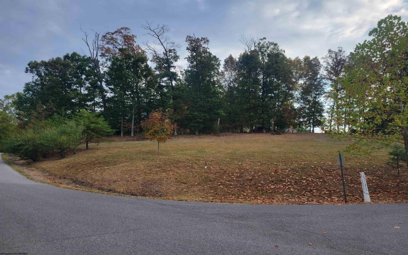 Lot #6 Briarwood Road, Bridgeport, West Virginia 26330, ,Lots/land,For Sale,Briarwood,10156481