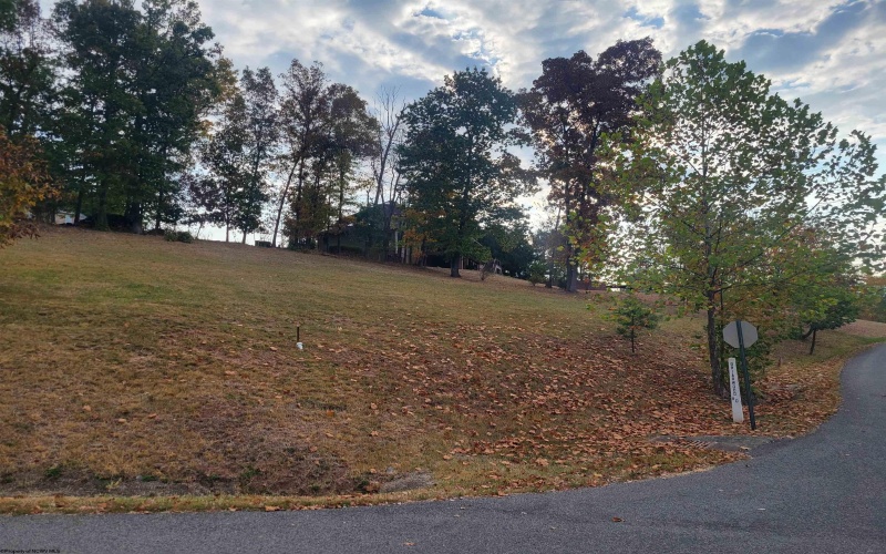 Lot #6 Briarwood Road, Bridgeport, West Virginia 26330, ,Lots/land,For Sale,Briarwood,10156481