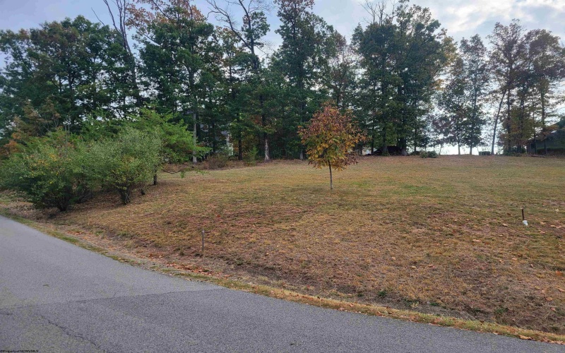 Lot #6 Briarwood Road, Bridgeport, West Virginia 26330, ,Lots/land,For Sale,Briarwood,10156481