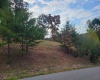 Lot #6 Briarwood Road, Bridgeport, West Virginia 26330, ,Lots/land,For Sale,Briarwood,10156481