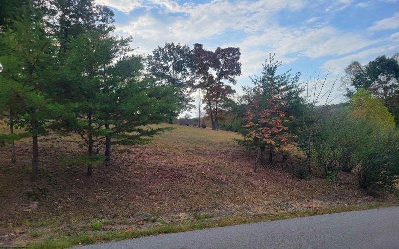 Lot #6 Briarwood Road, Bridgeport, West Virginia 26330, ,Lots/land,For Sale,Briarwood,10156481