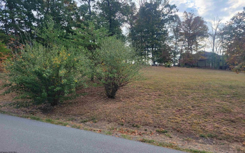 Lot #6 Briarwood Road, Bridgeport, West Virginia 26330, ,Lots/land,For Sale,Briarwood,10156481