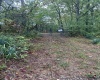 1032 White Pine Road, Glenville, West Virginia 26351, ,Lots/land,For Sale,White Pine,10156482