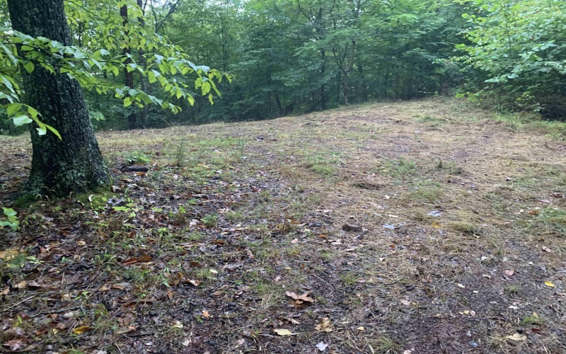 1032 White Pine Road, Glenville, West Virginia 26351, ,Lots/land,For Sale,White Pine,10156482