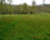 80 Shagbark Road, Frenchton, West Virginia 26218, ,Lots/land,For Sale,Shagbark,10148744