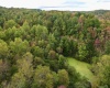 Lot C Island Road, Junior, West Virginia 26275, ,Lots/land,For Sale,Island,10156513