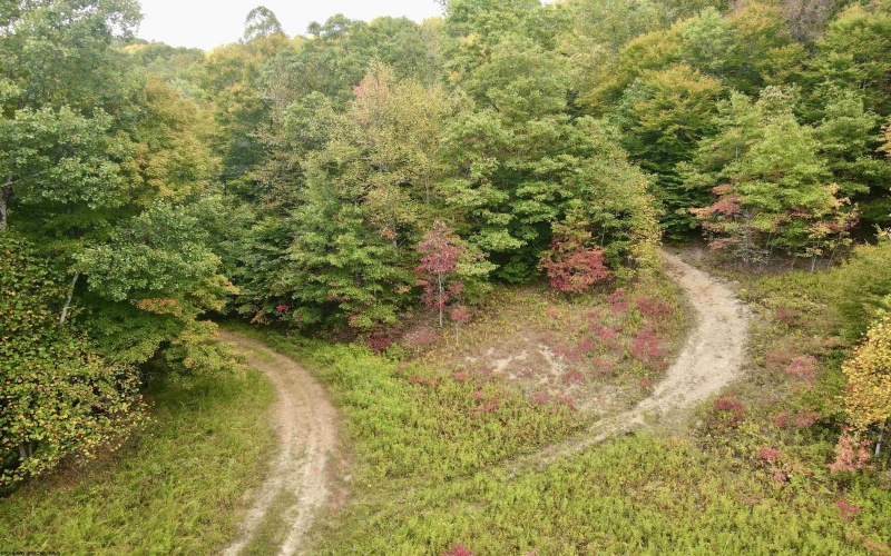 Lot C Island Road, Junior, West Virginia 26275, ,Lots/land,For Sale,Island,10156513