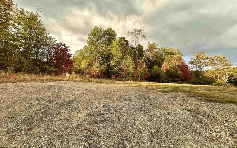 Lot C Island Road, Junior, West Virginia 26275, ,Lots/land,For Sale,Island,10156513