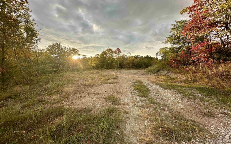 Lot C Island Road, Junior, West Virginia 26275, ,Lots/land,For Sale,Island,10156513