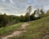 Lot B Island Road, Junior, West Virginia 26275, ,Lots/land,For Sale,Island,10156514