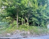 Parcel 312 Lorentz Avenue, Morgantown, West Virginia 26505, ,Lots/land,For Sale,Lorentz,10156516