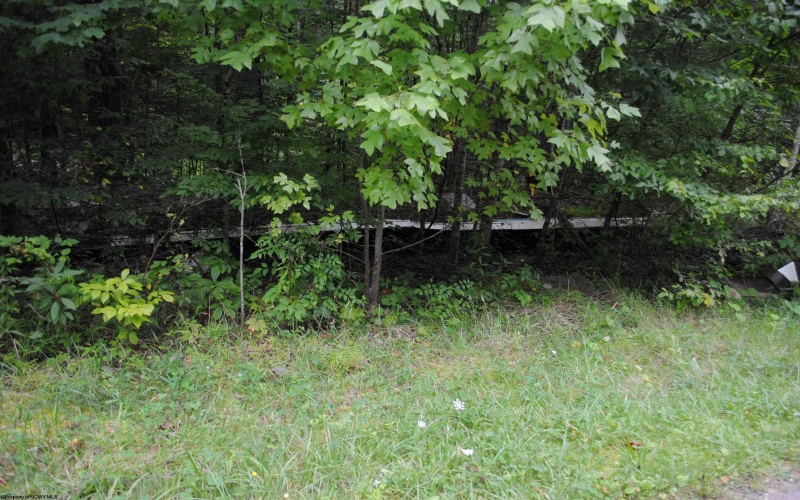 TBD Crusader Drive, Huttonsville, West Virginia 26273, ,Lots/land,For Sale,Crusader,10150652