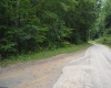 TBD Crusader Drive, Huttonsville, West Virginia 26273, ,Lots/land,For Sale,Crusader,10150652