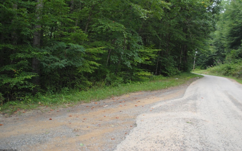 TBD Crusader Drive, Huttonsville, West Virginia 26273, ,Lots/land,For Sale,Crusader,10150652