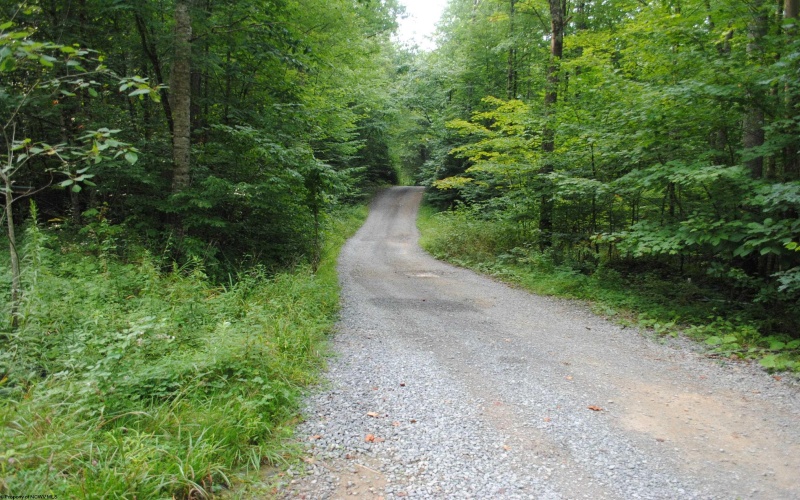 TBD Crusader Drive, Huttonsville, West Virginia 26273, ,Lots/land,For Sale,Crusader,10150652