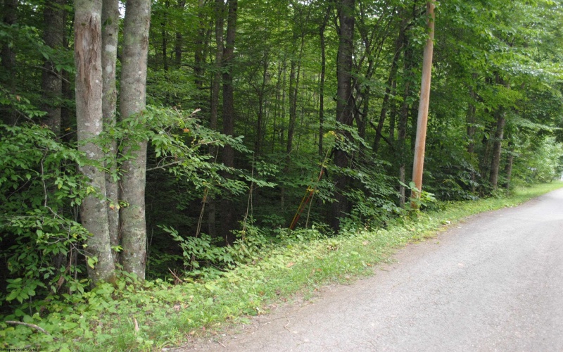 TBD Crusader Drive, Huttonsville, West Virginia 26273, ,Lots/land,For Sale,Crusader,10150652