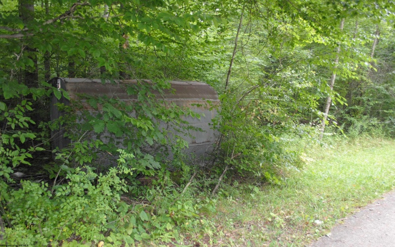 TBD Crusader Drive, Huttonsville, West Virginia 26273, ,Lots/land,For Sale,Crusader,10150652