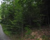 TBD Crusader Drive, Huttonsville, West Virginia 26273, ,Lots/land,For Sale,Crusader,10150652