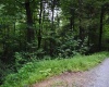 TBD Crusader Drive, Huttonsville, West Virginia 26273, ,Lots/land,For Sale,Crusader,10150652