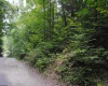 TBD Crusader Drive, Huttonsville, West Virginia 26273, ,Lots/land,For Sale,Crusader,10150652