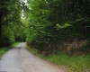 TBD Crusader Drive, Huttonsville, West Virginia 26273, ,Lots/land,For Sale,Crusader,10150652