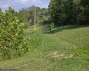 TBD Orchard Cove Drive, Fairmont, West Virginia 26554, ,Lots/land,For Sale,Orchard Cove,10156539