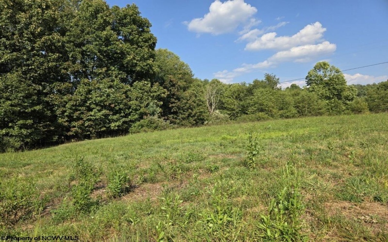 TBD Orchard Cove Drive, Fairmont, West Virginia 26554, ,Lots/land,For Sale,Orchard Cove,10156539