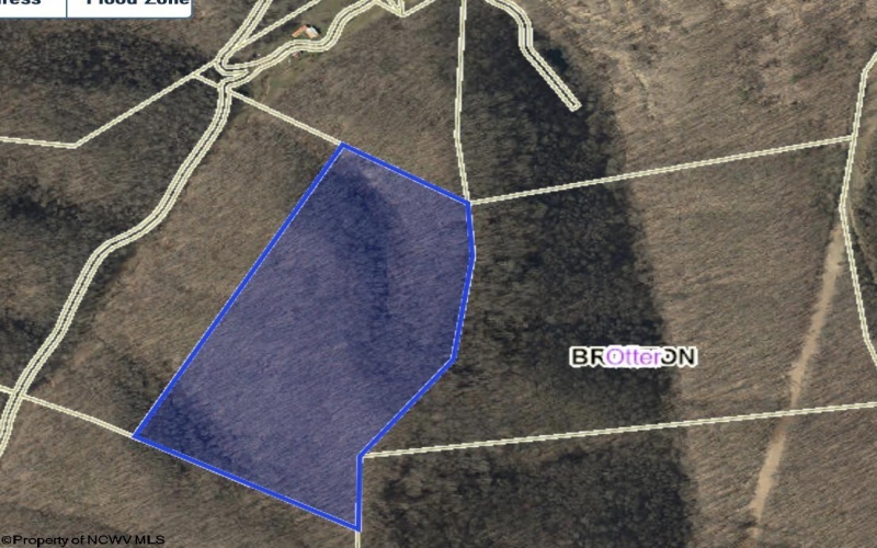 TBD Right Fork Cedar Creek Road, Exchange, West Virginia 26619, ,Lots/land,For Sale,Right Fork Cedar Creek,10156549