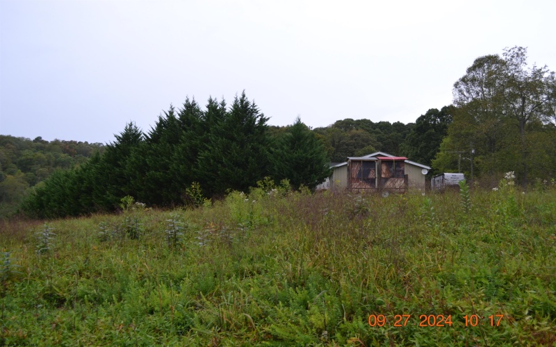 00000 Dutch Hollow, Weston, West Virginia 26452, ,Lots/land,For Sale,Dutch,10156551