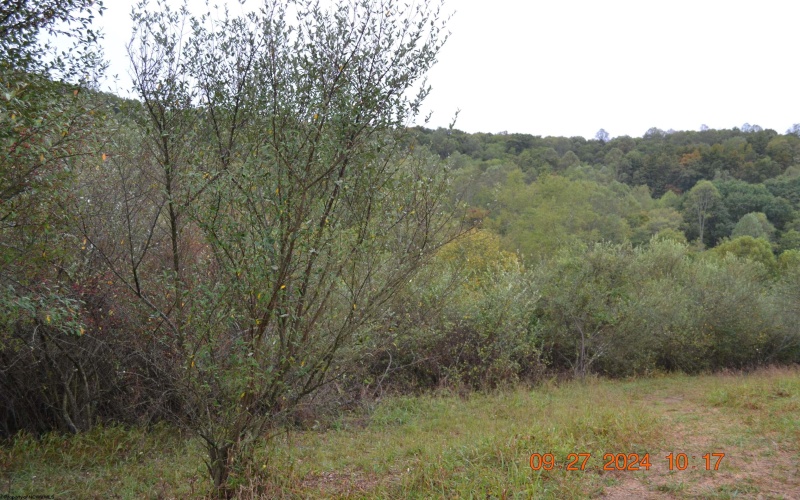 00000 Dutch Hollow, Weston, West Virginia 26452, ,Lots/land,For Sale,Dutch,10156551