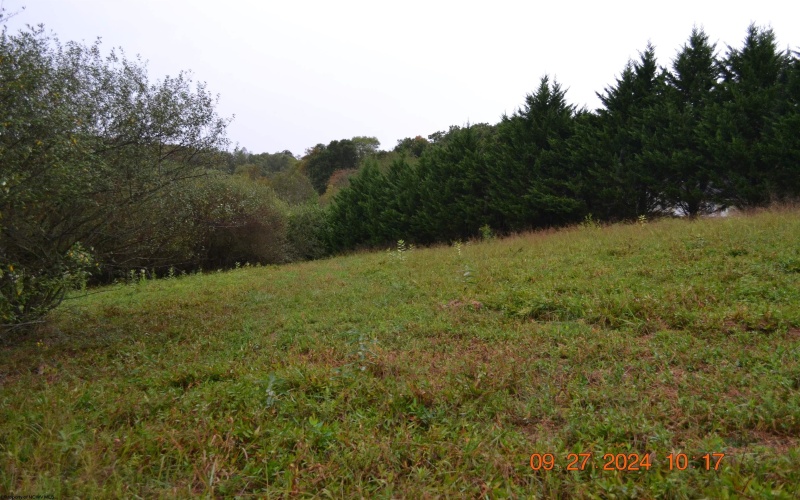 00000 Dutch Hollow, Weston, West Virginia 26452, ,Lots/land,For Sale,Dutch,10156551