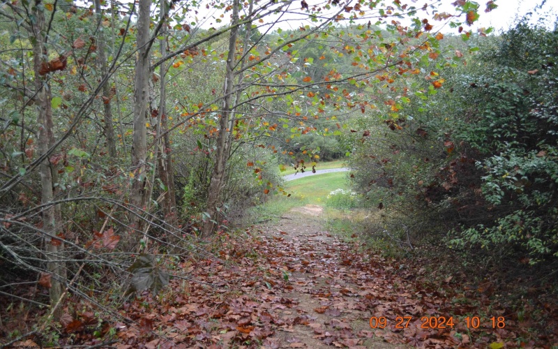 00000 Dutch Hollow, Weston, West Virginia 26452, ,Lots/land,For Sale,Dutch,10156551