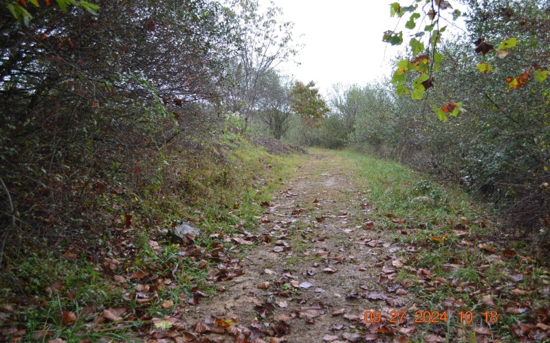 00000 Dutch Hollow, Weston, West Virginia 26452, ,Lots/land,For Sale,Dutch,10156551