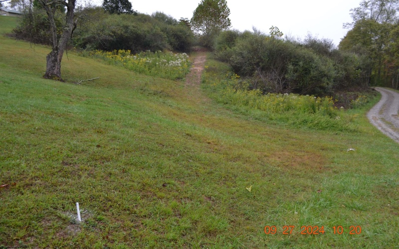 00000 Dutch Hollow, Weston, West Virginia 26452, ,Lots/land,For Sale,Dutch,10156551