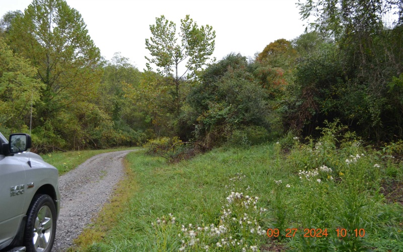 00000 Dutch Hollow, Weston, West Virginia 26452, ,Lots/land,For Sale,Dutch,10156551