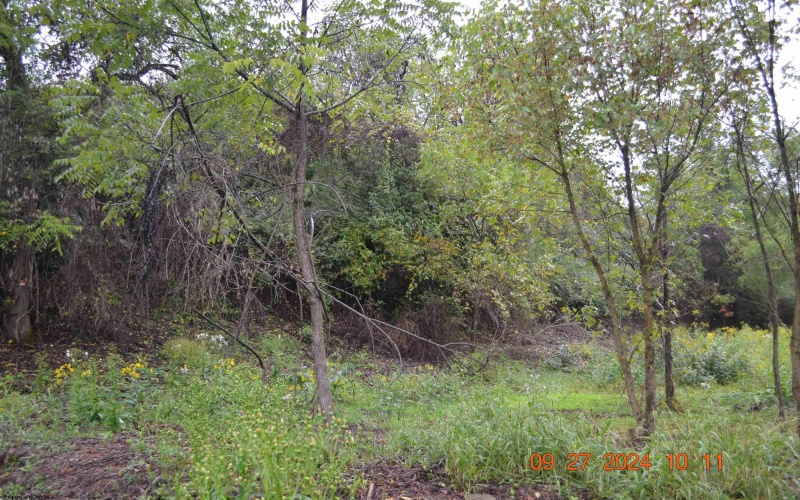 00000 Dutch Hollow, Weston, West Virginia 26452, ,Lots/land,For Sale,Dutch,10156551