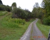 00000 Dutch Hollow, Weston, West Virginia 26452, ,Lots/land,For Sale,Dutch,10156551