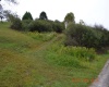 00000 Dutch Hollow, Weston, West Virginia 26452, ,Lots/land,For Sale,Dutch,10156551