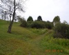 00000 Dutch Hollow, Weston, West Virginia 26452, ,Lots/land,For Sale,Dutch,10156551