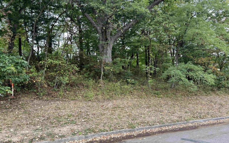 Lot 45 Courtney Avenue, Morgantown, West Virginia 26501, ,Lots/land,For Sale,Courtney,10156587