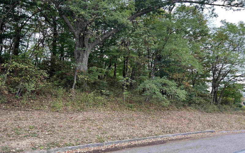 Lot 45 Courtney Avenue, Morgantown, West Virginia 26501, ,Lots/land,For Sale,Courtney,10156587