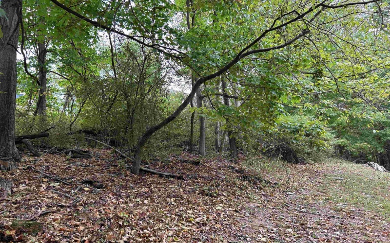 Lot 45 Courtney Avenue, Morgantown, West Virginia 26501, ,Lots/land,For Sale,Courtney,10156587