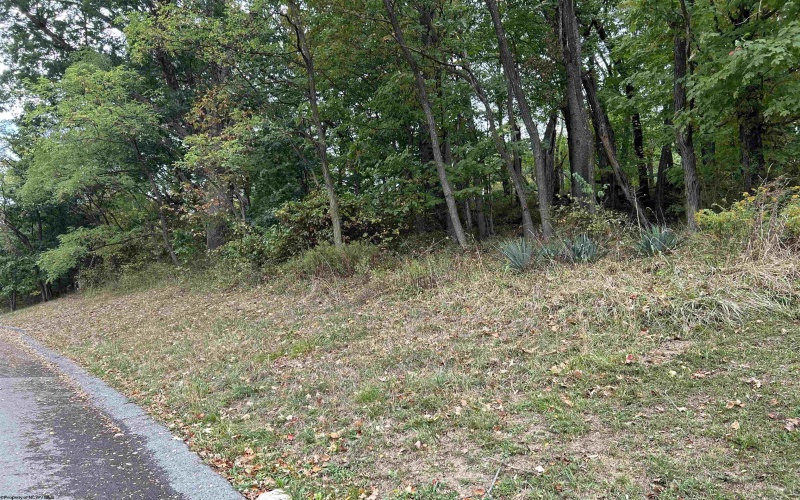 Lot 45 Courtney Avenue, Morgantown, West Virginia 26501, ,Lots/land,For Sale,Courtney,10156587