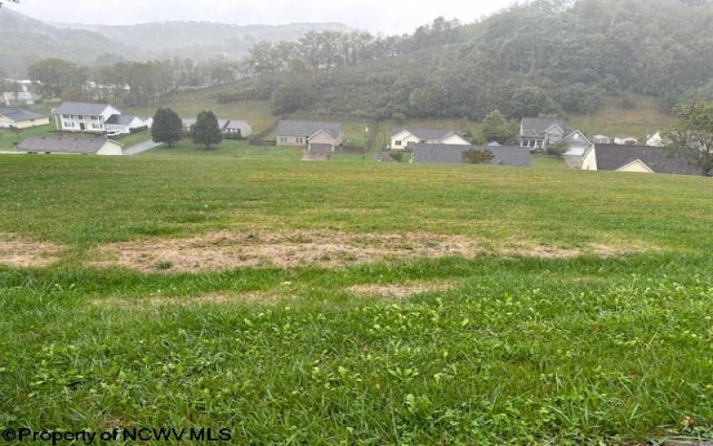 41 Overlook Drive, Buckhannon, West Virginia 26201, ,Lots/land,For Sale,Overlook,10156584