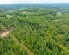 0 Preston Highway, Bruceton Mills, West Virginia 26525, ,Lots/land,For Sale,Preston,10156603